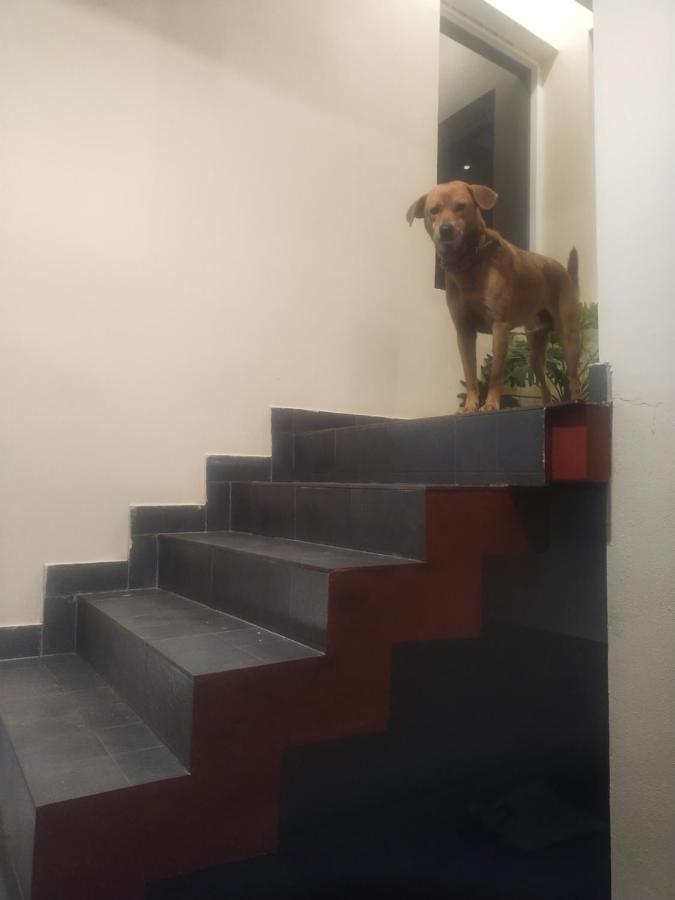 Two Bedroom House Madikeri Zewnętrze zdjęcie